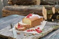 Fruit cake with red currant and almond on a garden table Royalty Free Stock Photo