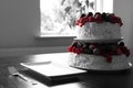 A fruit cake table in black and white with red berries Royalty Free Stock Photo