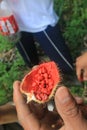 A fruit called achiote that has red seeds which give of a natural red paint