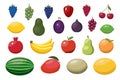 Fruit cartoon set. Vegan organic eco products collection. vector illustration