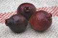 Fruit of Cattley guava or Peruvian guava (Psidium littorale susp. longipes).