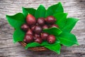 Fruit of Cattley guava or Peruvian guava (Psidium littorale susp. longipes).