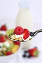 Fruit cereals on spoon with yogurt and milk Royalty Free Stock Photo