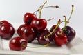 Fruit Cherry Berries in a White Plate