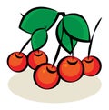 Fruit, Cherry