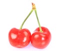 Fruit: Cherry