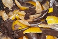 Fruit with chocolate, peel of oranges with chocolate Royalty Free Stock Photo