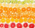 Fruit citrus background. Top view.