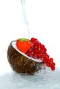 Fruit and coco Royalty Free Stock Photo