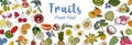 Fruit collection in flat hand drawn style, illustrations set Royalty Free Stock Photo