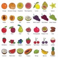 fruit collection. Vector illustration decorative design