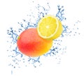 Fruit composition with whole mango and halved lemon in water splash isolated on white background. Royalty Free Stock Photo