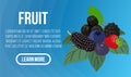 Fruit concept banner, isometric style Royalty Free Stock Photo