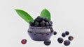Fruit - Concept image of jamun or jambolan in the pot at the dinner table, selective focus Royalty Free Stock Photo
