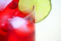 Fruit cooler with cranberries and lime Royalty Free Stock Photo