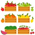 Set of wooden crates with different fruits. Vector illustration