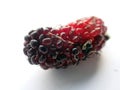 Red ripening fresh mulberry fruit closeup Royalty Free Stock Photo