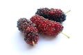 Ripe mulberry fruit on white background Royalty Free Stock Photo