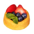 Fruit Cupcake isolate on white. Sponge cake with fresh blueberry