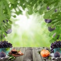 Fruit on dark wooden table with green figs tree background. Natural morning dessert