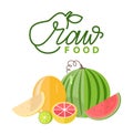 Season Food, Melon and Watermelon, Citrus Vector