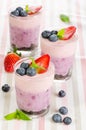 Fruit dessert with berries served in glass (berry cheesecake wit Royalty Free Stock Photo