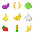 Fruit diet icons set, cartoon style