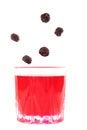 fruit drink compote red in a glass, black raspberry in a plate, isolate on white, berries are falling Royalty Free Stock Photo