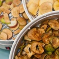 Fruit dryer with apple pieces Royalty Free Stock Photo