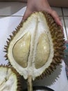Durian Royalty Free Stock Photo