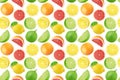 Fruit endless pattern made with citrus fruits isolated on white background.