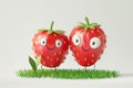 Fruit with faces in grass two strawberries standing together Royalty Free Stock Photo
