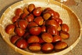 Fruit of fall, chestnut