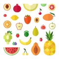 Fruit flat style big vector icon set isolated. Royalty Free Stock Photo