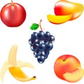 Fruit for food, mature banana, tasty mango, juicy fruit, red apple, a cluster of black grapes, a