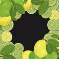 Citrus fruit frame2 Royalty Free Stock Photo