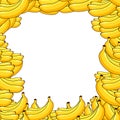 Fruit frame. Pattern: bananas. Vector illustration.