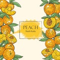 Fruit frame from peaches, vector illustration.