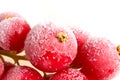 Fruit frozen in ice Royalty Free Stock Photo