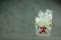 Fruit frozen inside transparent ice cube Royalty Free Stock Photo