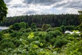 The fruit garden of the island, respectively, apple trees to 120 years Royalty Free Stock Photo