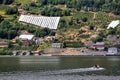 Fruit gardens on coasts of the Hardanger fjord, Hordaland county, Norway