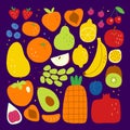 Fruit grocery hand drawn set. Flat doodle berries and fruits: strawberry, apple, citrus, tropical. Royalty Free Stock Photo