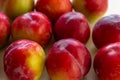 Fruit harvest. Fresh fruits. Apricot, peach, plums, nectarines on a wooden background. A lot of peaches, plums, apricots on the Royalty Free Stock Photo