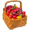 Basket with cherry plum and plums. Royalty Free Stock Photo