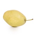 Fruit hybrid apple pear