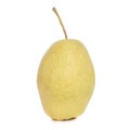Fruit hybrid apple pear