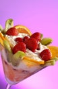 Fruit Ice Cream Royalty Free Stock Photo