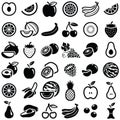 Fruit vector icon illustration
