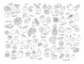 Fruit icon, Hand-drawn set of fruits. Vector illustration Royalty Free Stock Photo